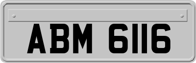 ABM6116