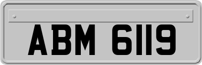 ABM6119