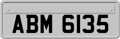 ABM6135