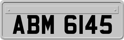 ABM6145