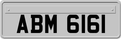 ABM6161