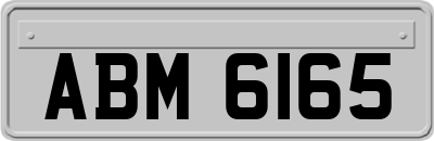 ABM6165