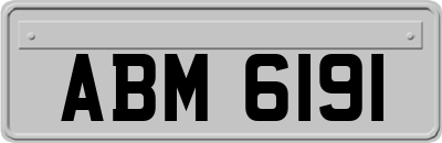 ABM6191