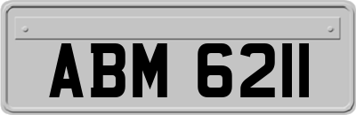 ABM6211