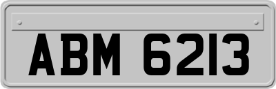 ABM6213