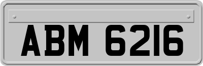 ABM6216