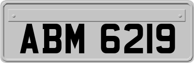 ABM6219