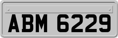 ABM6229