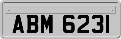 ABM6231