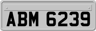 ABM6239