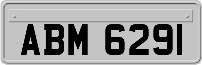 ABM6291