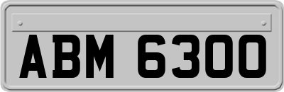 ABM6300
