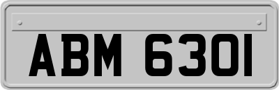 ABM6301