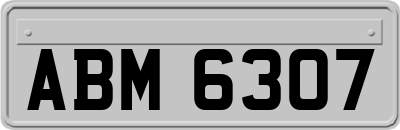 ABM6307