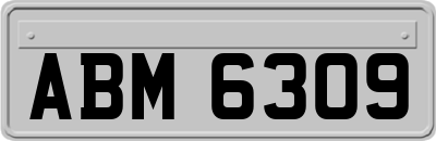 ABM6309