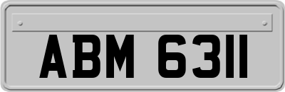 ABM6311