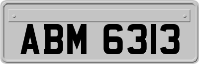 ABM6313