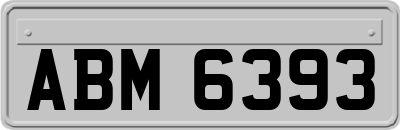 ABM6393