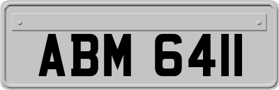 ABM6411