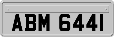 ABM6441