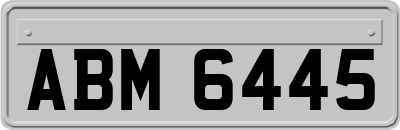 ABM6445