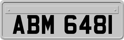ABM6481
