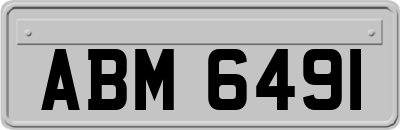ABM6491