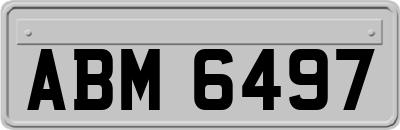 ABM6497