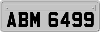 ABM6499