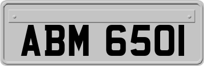 ABM6501
