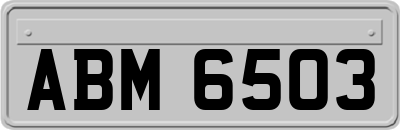 ABM6503