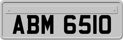 ABM6510