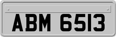 ABM6513
