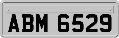 ABM6529