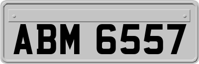 ABM6557