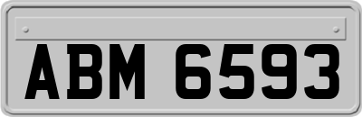 ABM6593