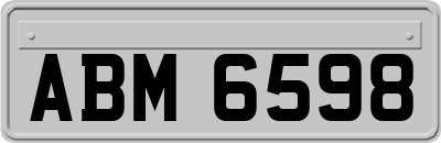 ABM6598