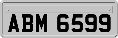 ABM6599