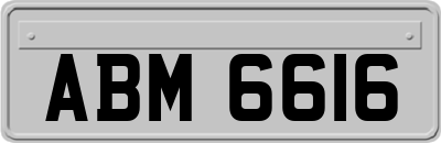 ABM6616