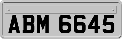 ABM6645