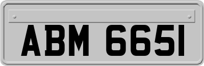 ABM6651