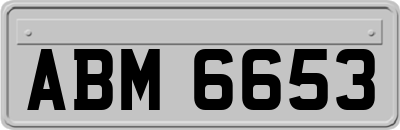 ABM6653