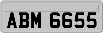 ABM6655
