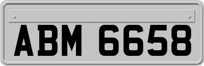 ABM6658
