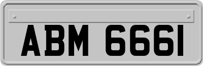 ABM6661