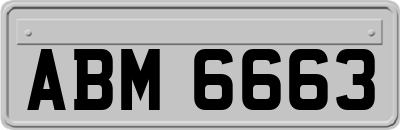 ABM6663