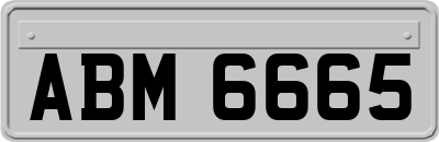 ABM6665