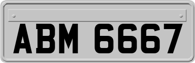 ABM6667