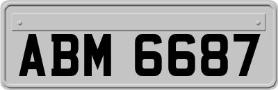 ABM6687