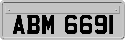 ABM6691